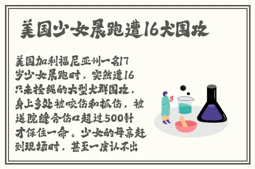 **长征正能量入口黑料