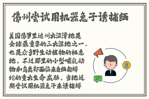 仙踪林company limited19岁免费版的特点